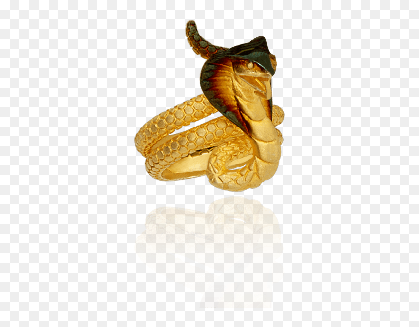 King Cobra Png Background - Duck, Transparent Png - king cobra png