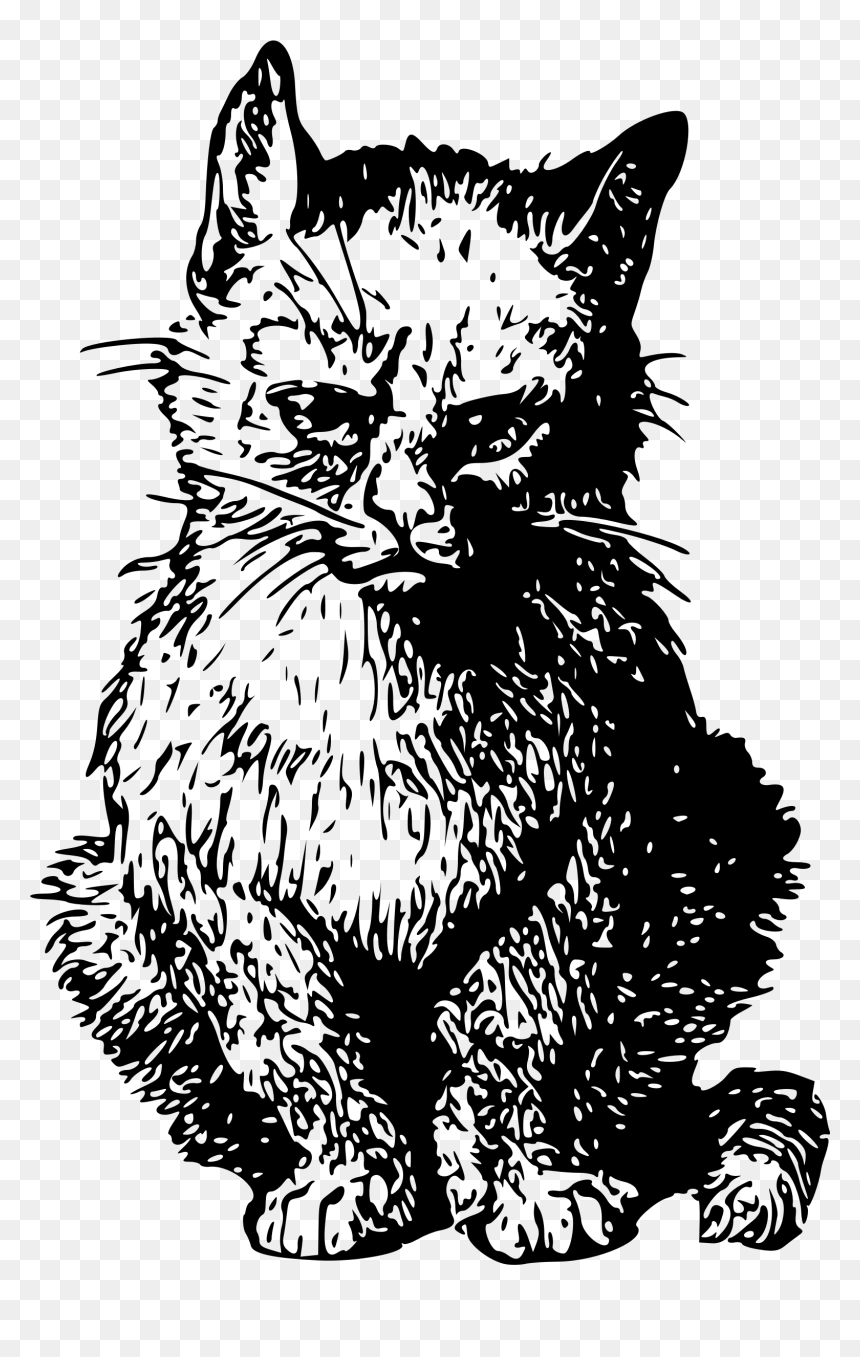 Angry Cat Clip Arts - Cat Clipart Angry, HD Png Download - angry cat png