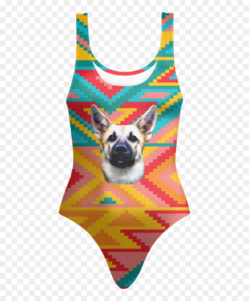 Swimmie For Wile E Coyote - Companion Dog, HD Png Download - road runner png