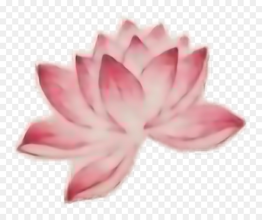 Transparent Lotus Tattoo Png - Sacred Lotus, Png Download - flower tattoo png