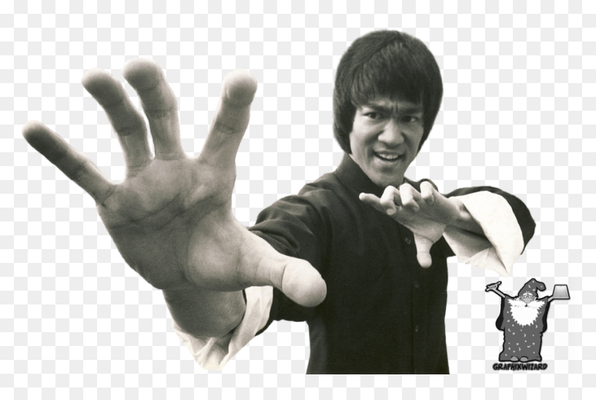 Beyond Bruce Lee By Paul Bowman , Png Download - Bruce Lee Fighting Position, Transparent Png - paul blart png