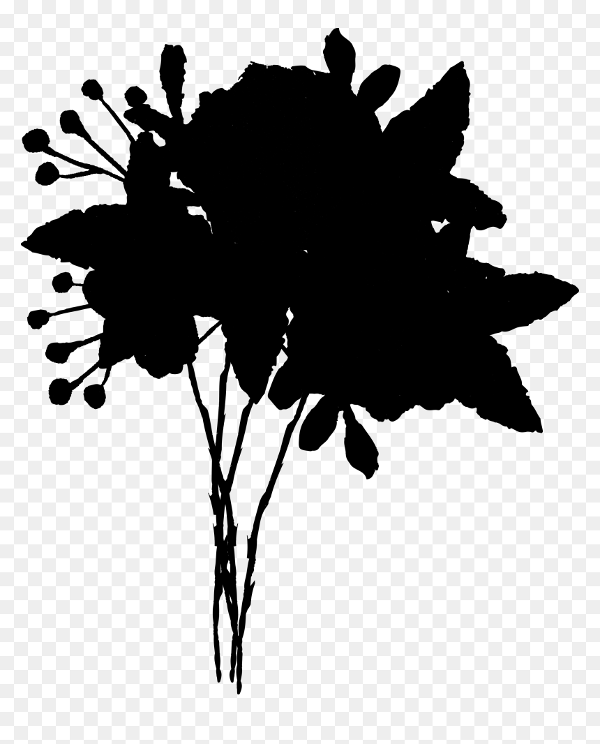 Flowering Plant Silhouette Font Leaf - Silhouette, HD Png Download - plant silhouette png
