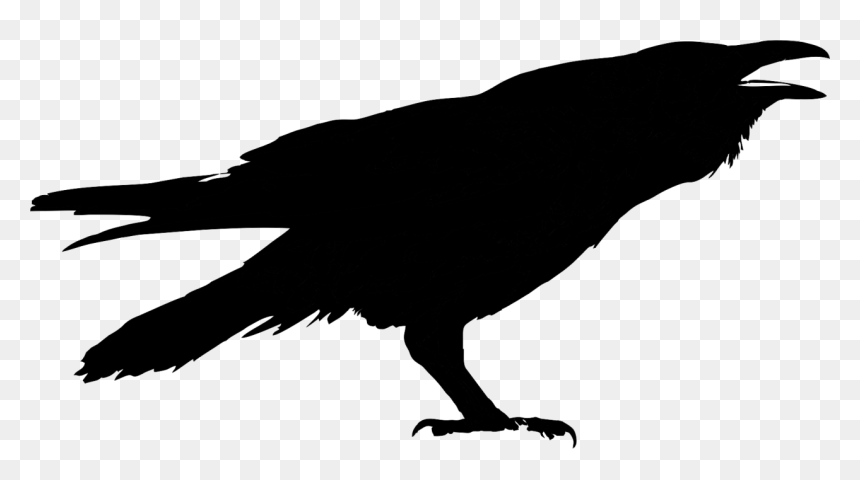 Silhouette Drawing Clip Art - Kruk Png, Transparent Png - crow silhouette png