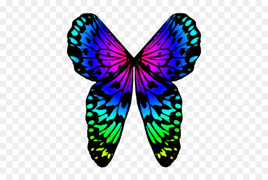 Rainbow Butterfly Png Image Background - Portable Network Graphics, Transparent Png - rainbow background png