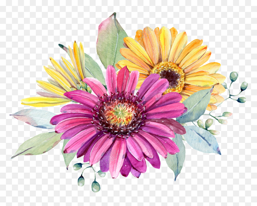 Chrysanthemum Flowers Png Image File - Chrysant Flower Png, Transparent Png - chrysanthemum png