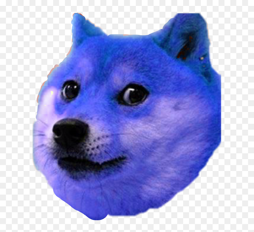 Hokkaido, HD Png Download - doge head png