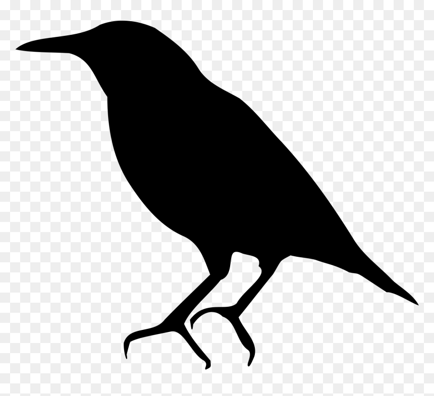 Bird Common Starling American Crow Silhouette - Common Starling, HD Png Download - crow silhouette png