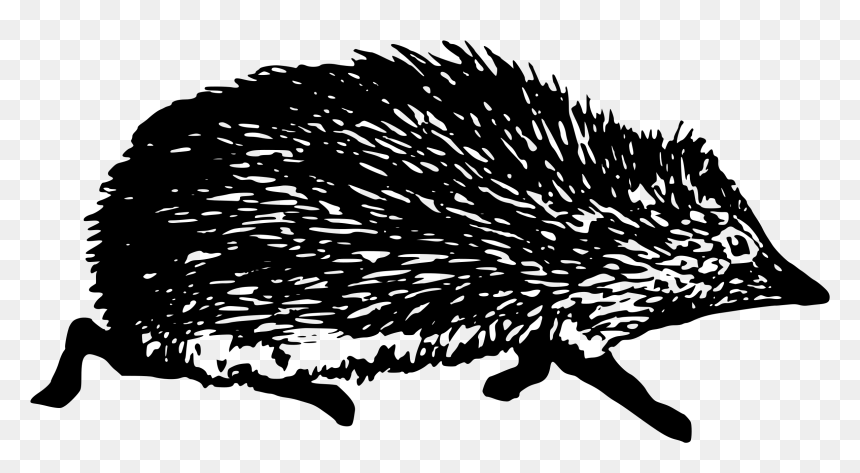 Hedgehog Clip Arts - Hedgehog Symbol, HD Png Download - porcupine png