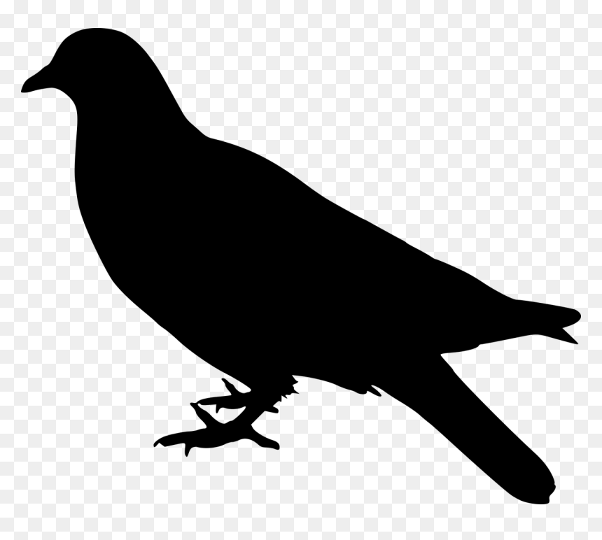 Dove Bird Silhouette Free Photo - Birds Silhouette Side, HD Png Download - crow silhouette png