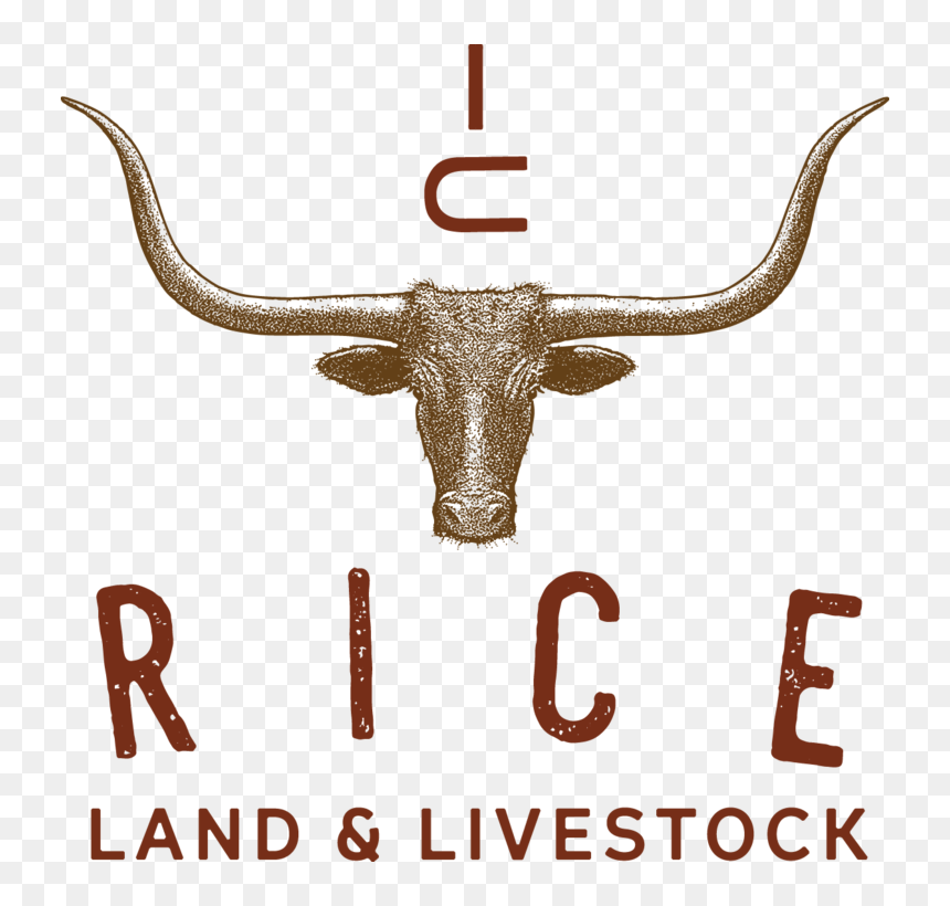 Land And Livestock Logos, HD Png Download - longhorn logo png