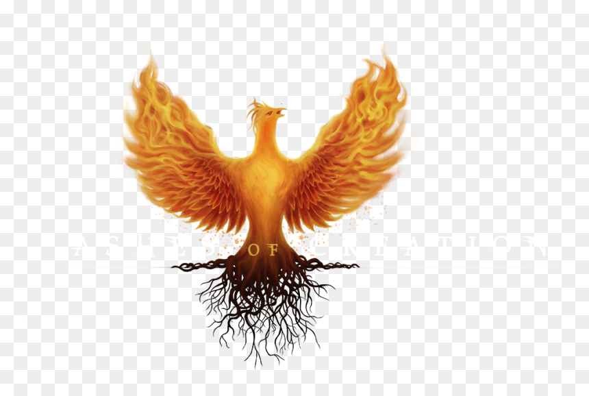 Aoc New Logo Text - Logo Ashes Of Creation, HD Png Download - creation logo png