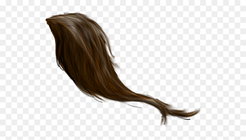 Thumb Image - Horse Tail Png, Transparent Png - tail png