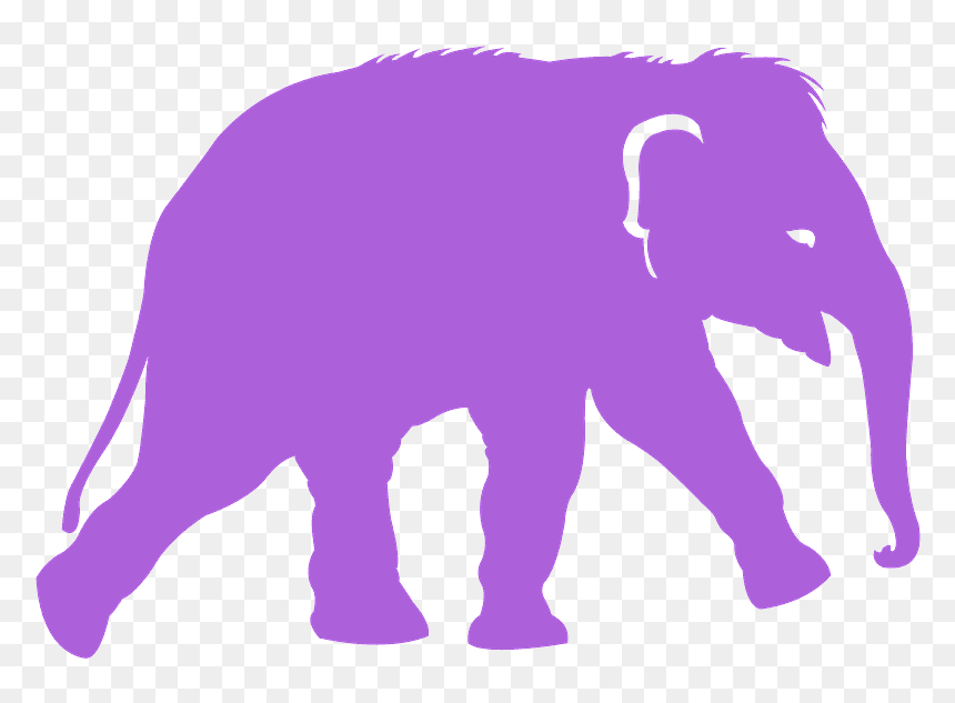 Indian Elephant, HD Png Download - elephant silhouette png