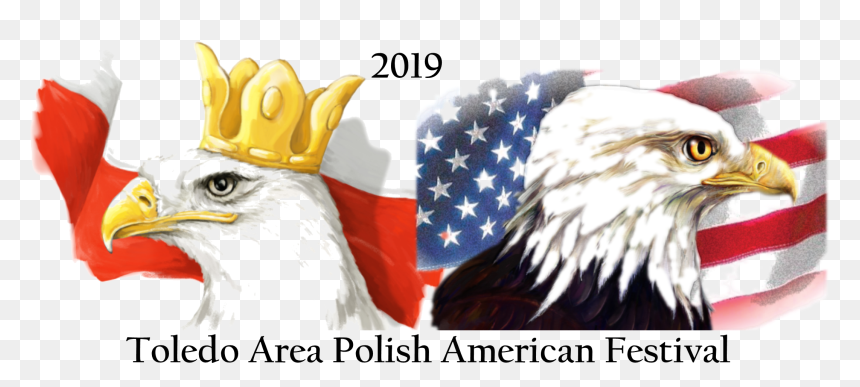 Eagle Polish American Flag, HD Png Download - nazi eagle png