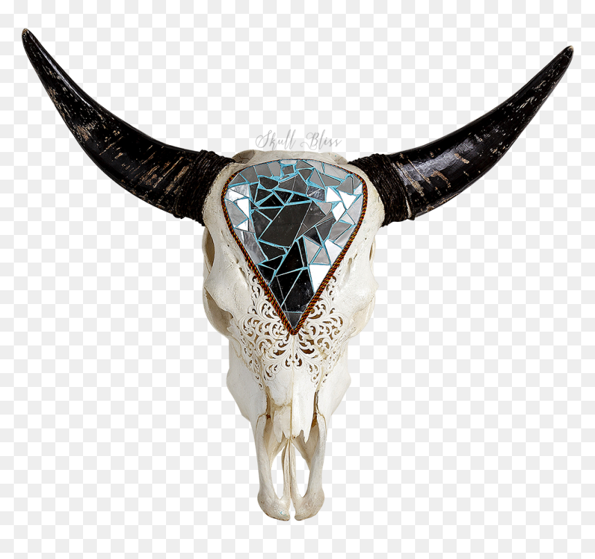 Texas Longhorn English Longhorn Animal Skulls - Texas Longhorn, HD Png Download - longhorn logo png