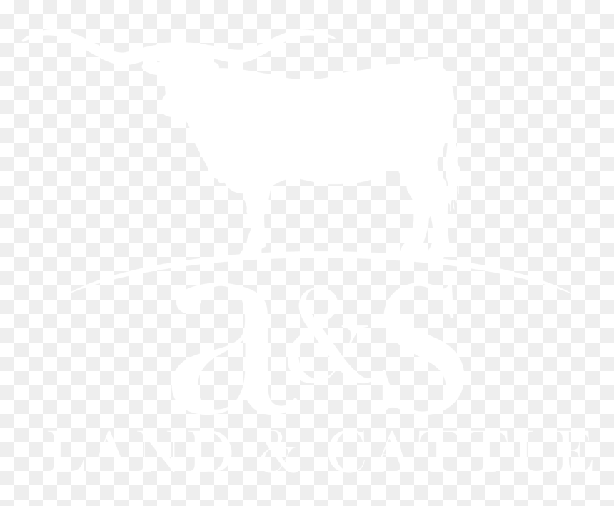 A&s Land And Cattle Logo - Texas Longhorn Cattle Logos, HD Png Download - longhorn logo png