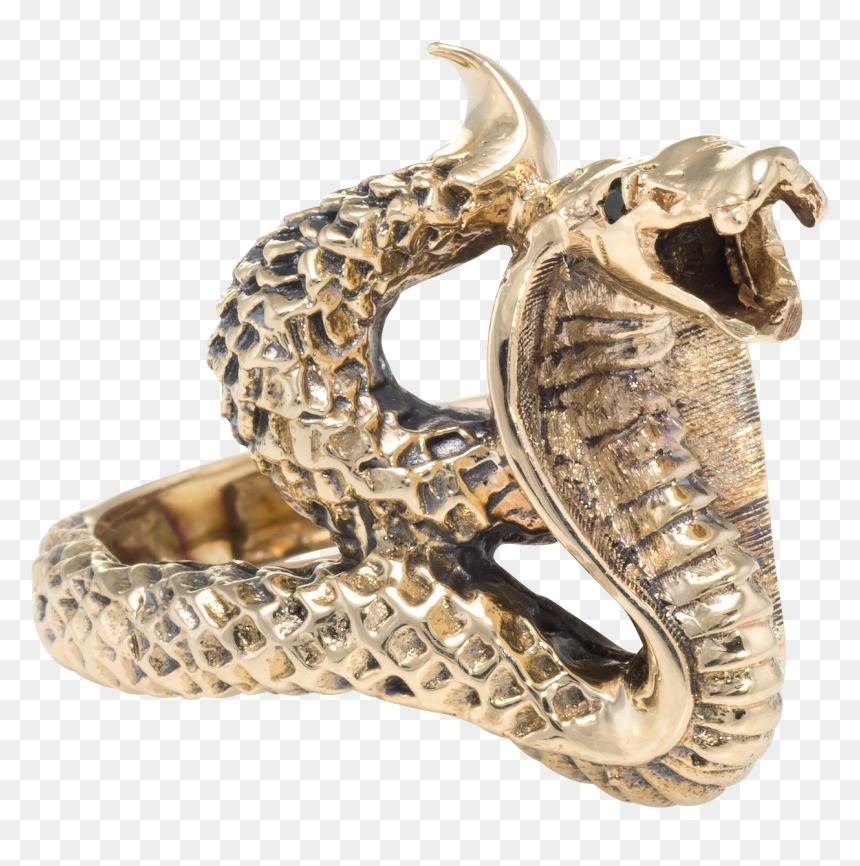 Fish, HD Png Download - king cobra png