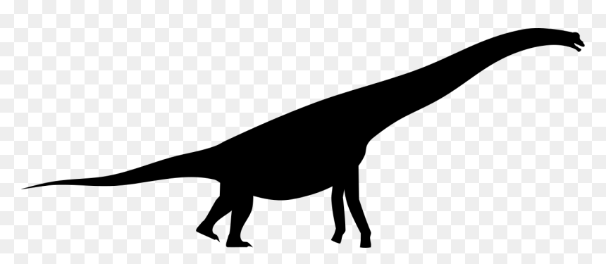 Transparent Dinosaur Clipart - Brachiosaurus Silhouette Png, Png Download - dinosaur silhouette png
