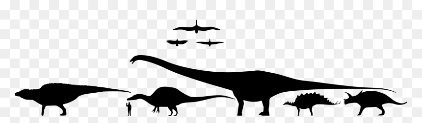 Dinosaurs Black And White Scale, HD Png Download - dinosaur silhouette png