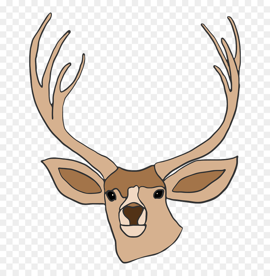 Deer Head Clipart - Blue Circle, HD Png Download - deer head png