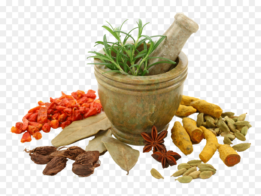 Spices Photo Png - Ayurvedic Medicines, Transparent Png - spices png