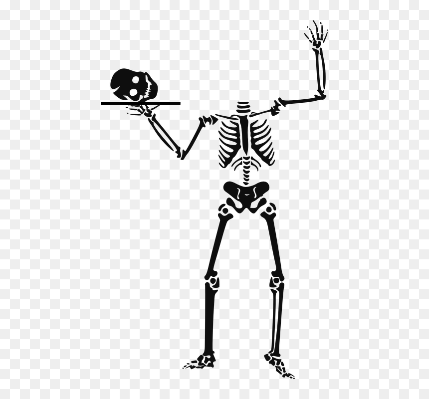 Skeleton 151169 960 720 Pixabay - Skeleton Clip Art, HD Png Download - spooky scary skeletons png