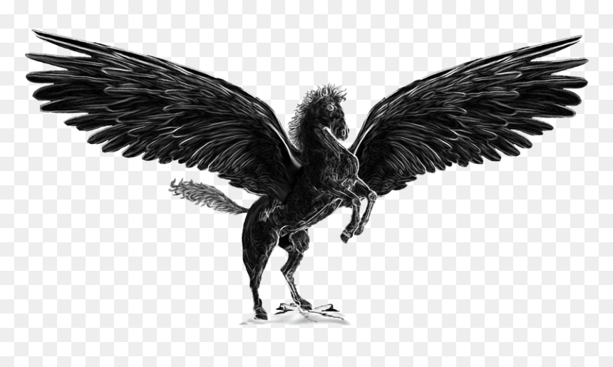 Pegasus Png Image , Png Download - Pegasus .png, Transparent Png - pegasus png