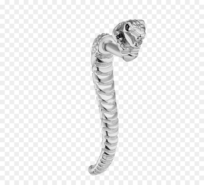 Prairie Rattlesnake, HD Png Download - king cobra png