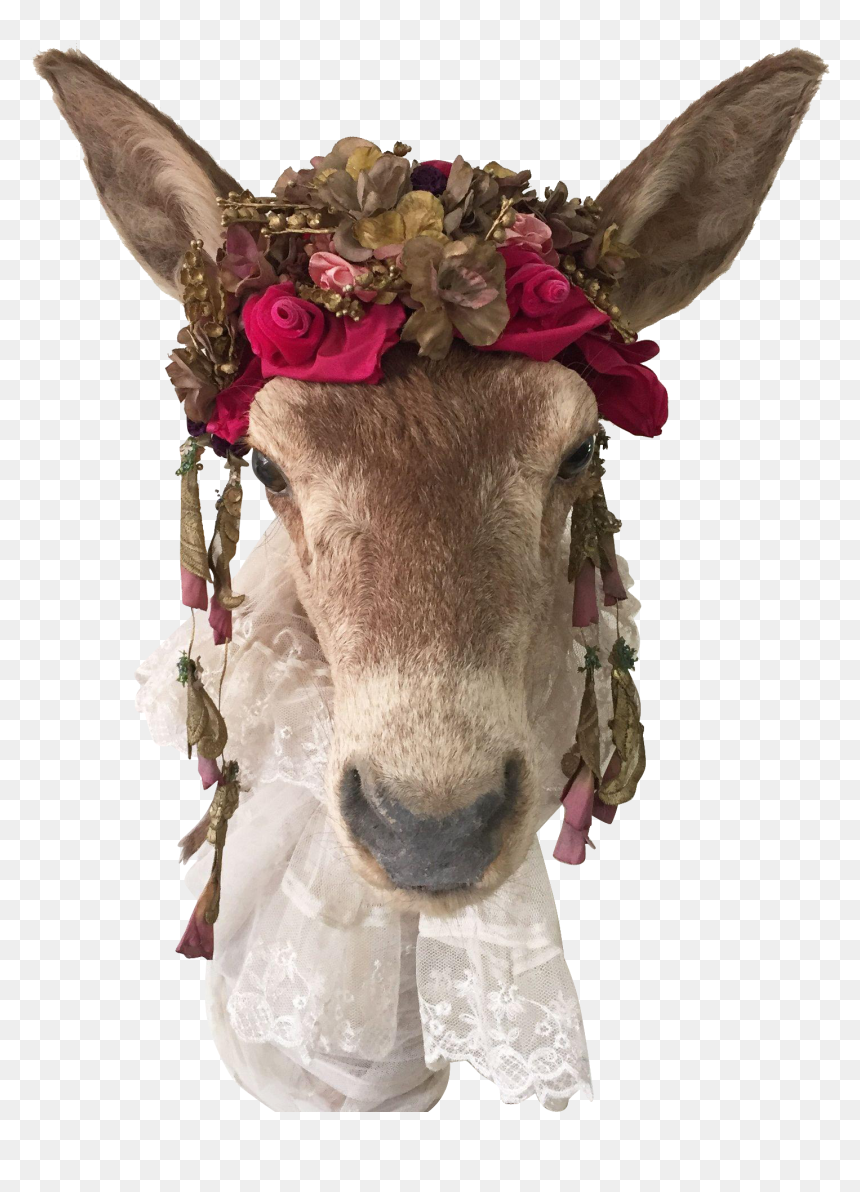 Horse Livestock Donkey Animal Mammal - Donkey Head Png, Transparent Png - deer head png