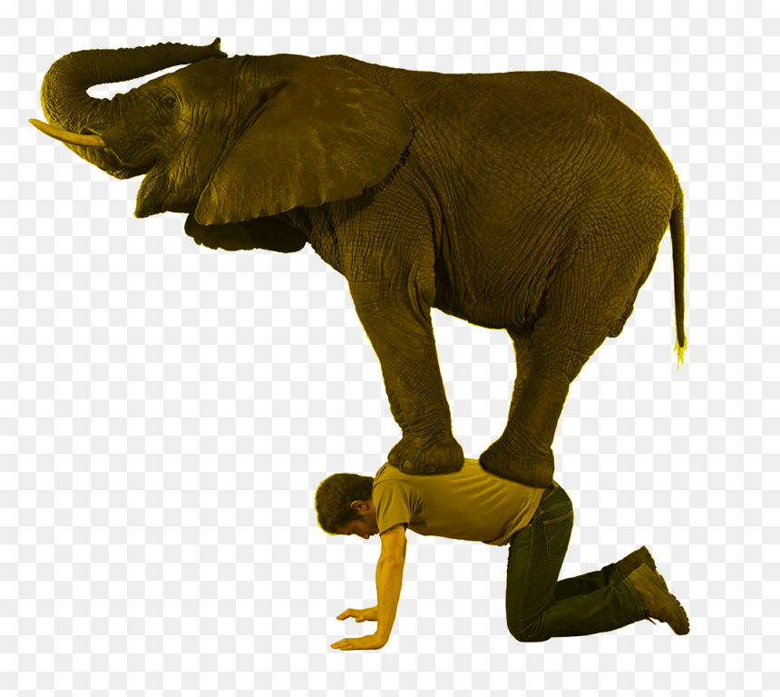 Why Use It Noene ® - Lifting An Elephant With One Hand, HD Png Download - elephant silhouette png