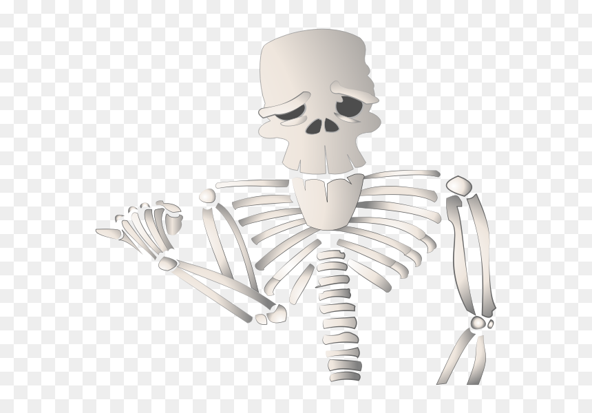 Cartoon Skeleton - Transparent Background Skeleton Cartoon, HD Png Download - spooky scary skeletons png