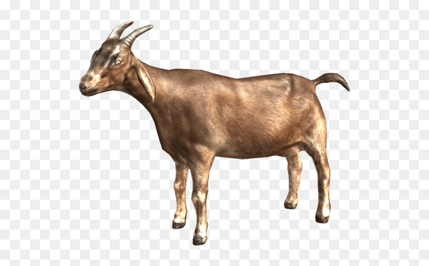 Goat Png Transparent Images, Png Download - goat head png