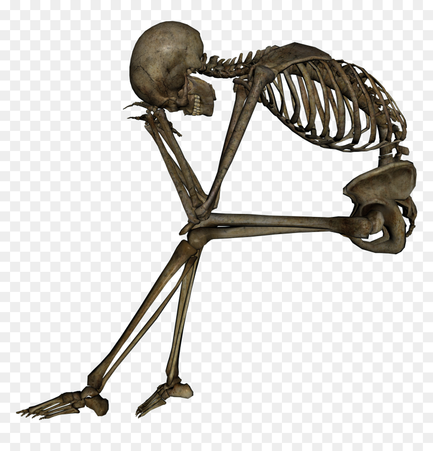 About - Skeleton Sitting Png, Transparent Png - spooky scary skeletons png