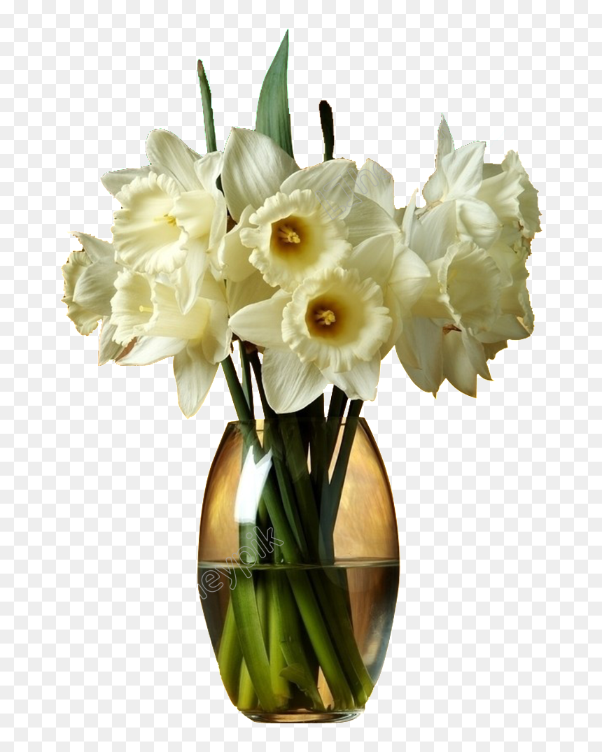 022 Flower Vase Png Images Watermarkimage C2h1axlpbl9uzxcucg5ng - Good Night Images With Hd Flowers, Transparent Png - flower vase png