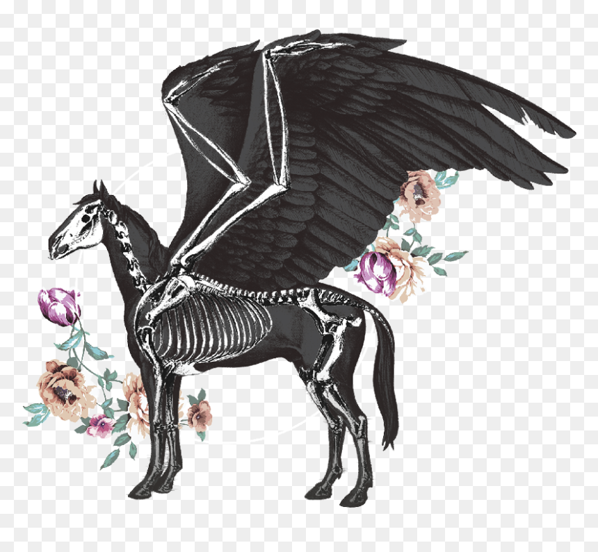 Pegasus Pale Ale - Illustration, HD Png Download - pegasus png