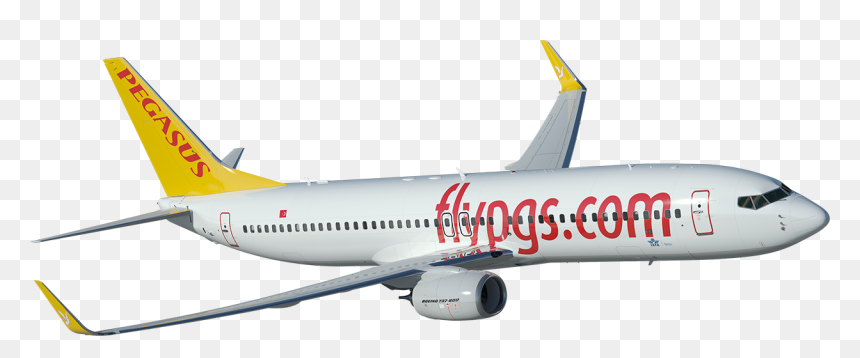Pegasus Airlines Plane Png, Transparent Png - pegasus png
