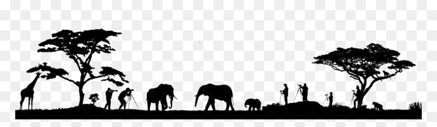 Indian Elephant , Png Download - Animals Safari Silhouette Png, Transparent Png - elephant silhouette png