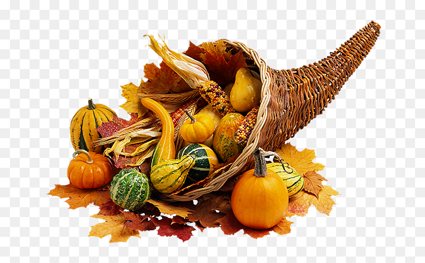 Food Found At The First Thanksgiving, HD Png Download - thanksgiving pumpkin png