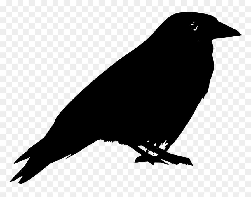Black Silhouette Bird, HD Png Download - raven silhouette png