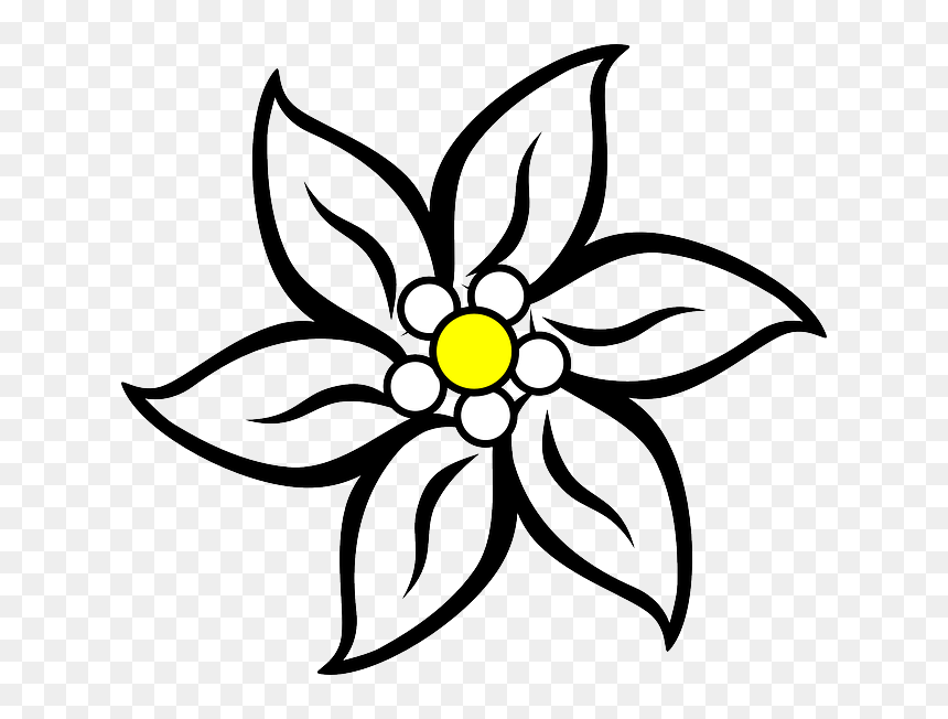 Edelweiss Black Wavy Stripes Picture - Edelweiss Clipart, HD Png Download - black stripes png