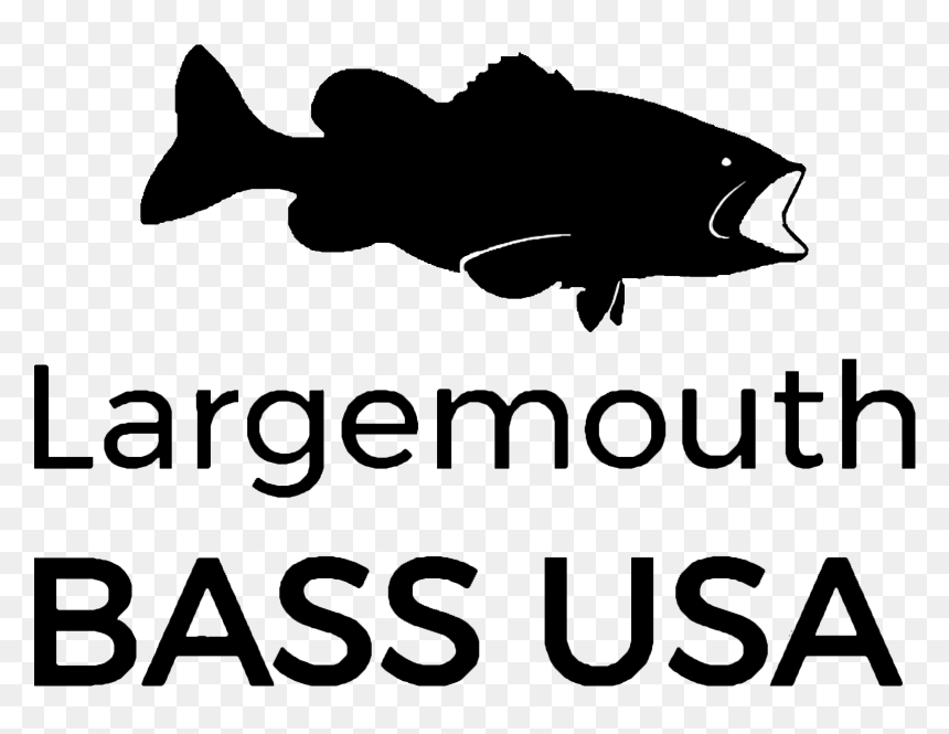 Novabase, HD Png Download - largemouth bass png
