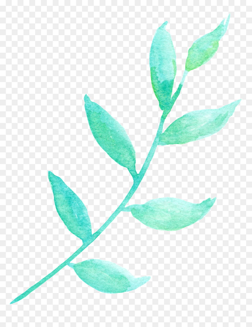 La Luz Del Sol Y La Hoja Verde Cartoon Png Transparente - Flower, Png Download - flower cartoon png