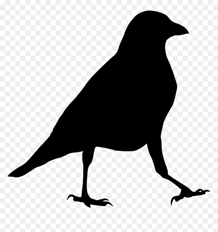 Transparent Raven Png, Png Download - raven silhouette png