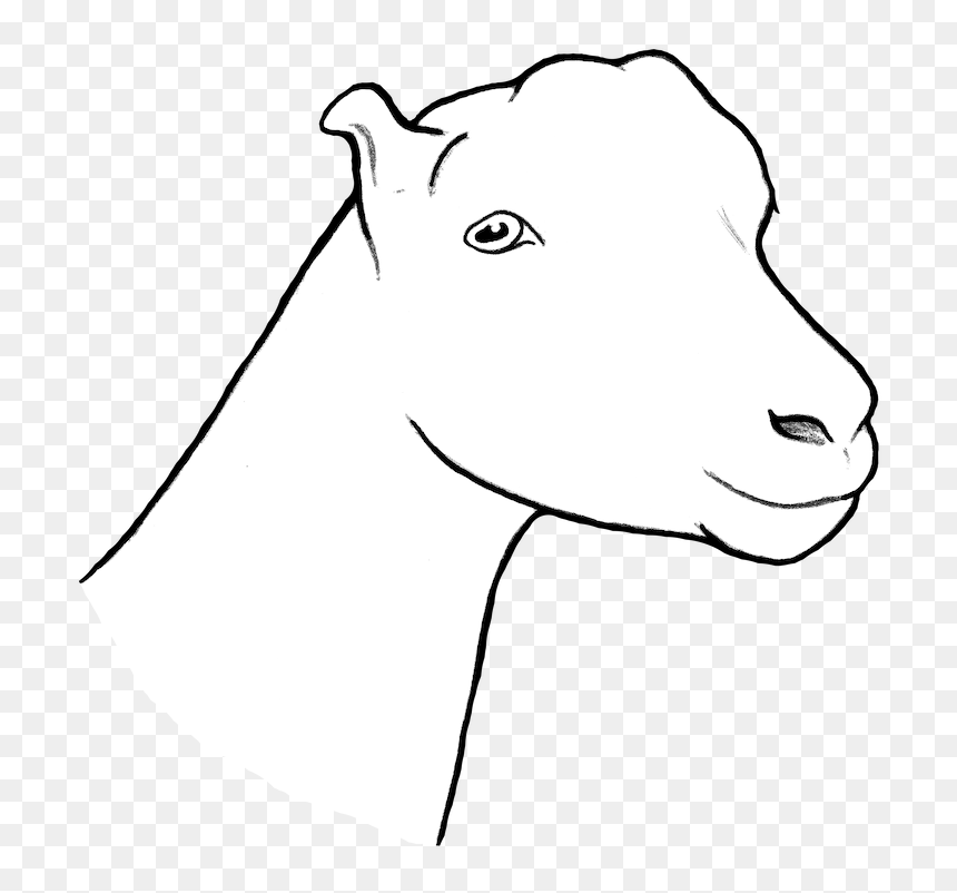 Goat, HD Png Download - goat head png