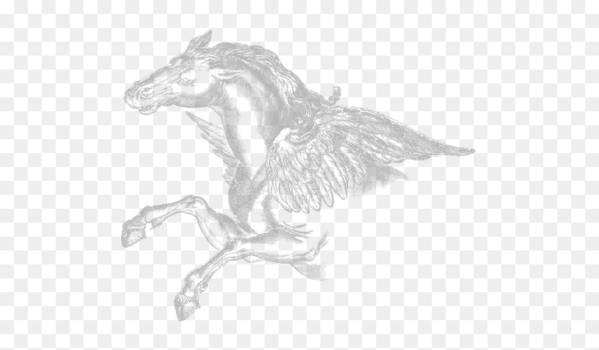 Sketch, HD Png Download - pegasus png