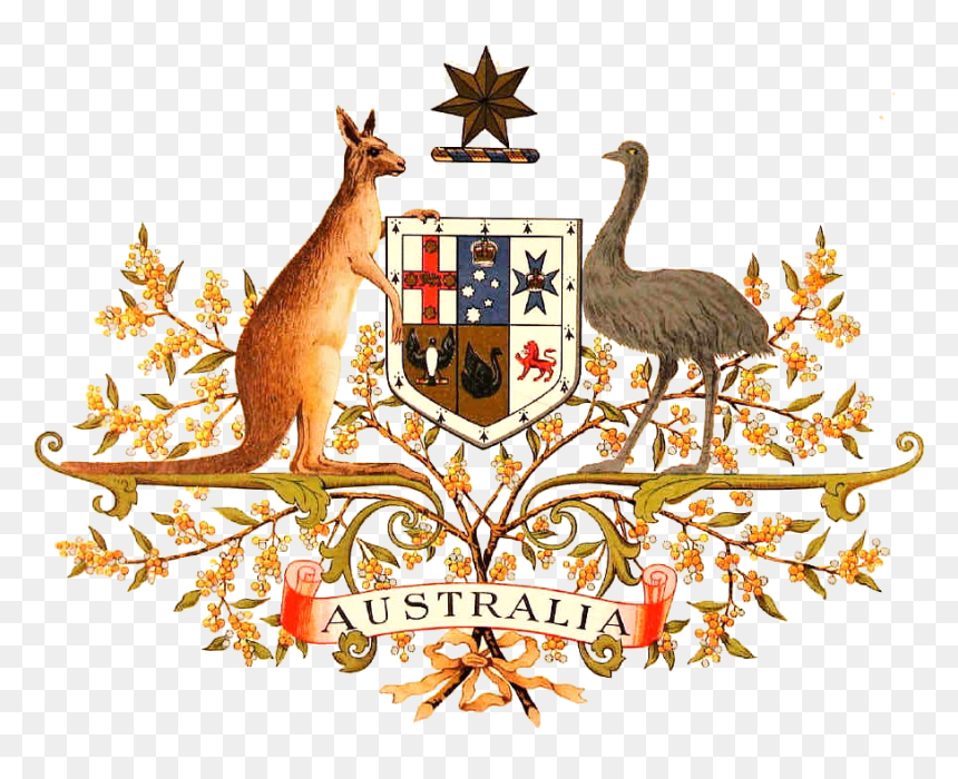 Australian Coat Of Arms, HD Png Download - scumbag steve hat png
