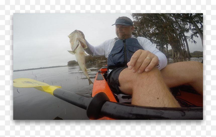 Jigging, HD Png Download - largemouth bass png