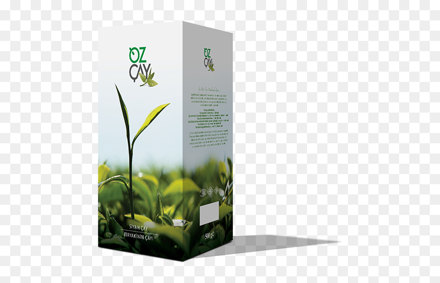 Theic - Brochure, HD Png Download - blowing leaves png