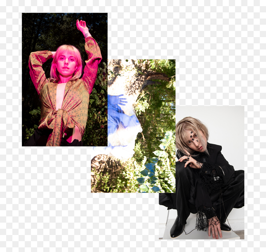 Poster, HD Png Download - hayley williams png