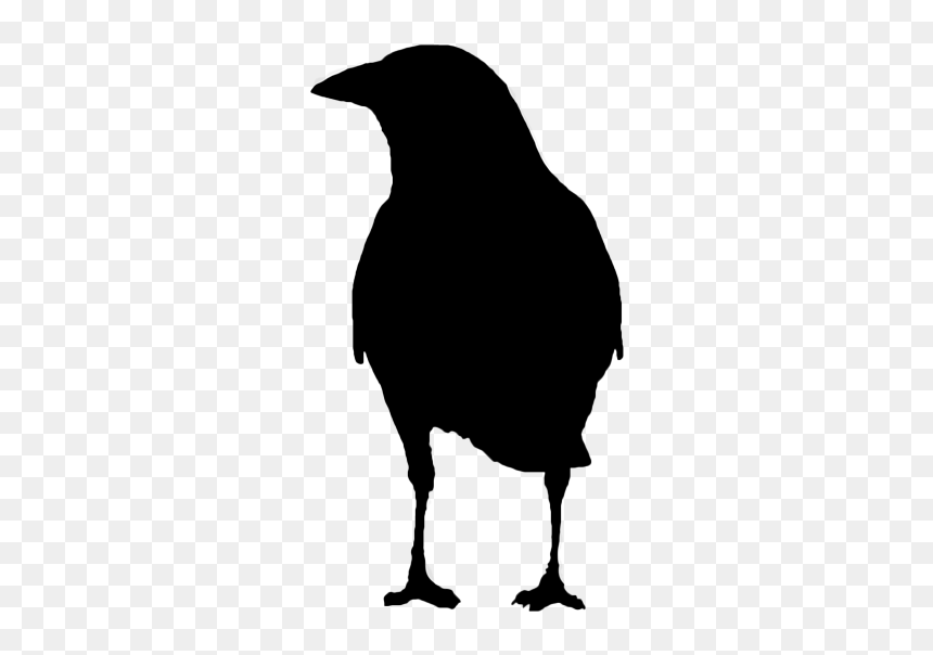 Picture - Fish Crow, HD Png Download - raven silhouette png
